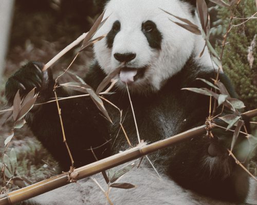 jay-wennington-s-fD5Tpew2k-unsplash